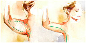 Upper Arm Lift Treatment in Coimbatore