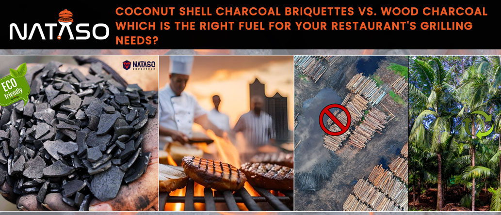 Coconut Shell Charcoal Briquettes Vs. Wood Charcoal Which is the Right Fuel for Your Restaurant's Grilling Needs