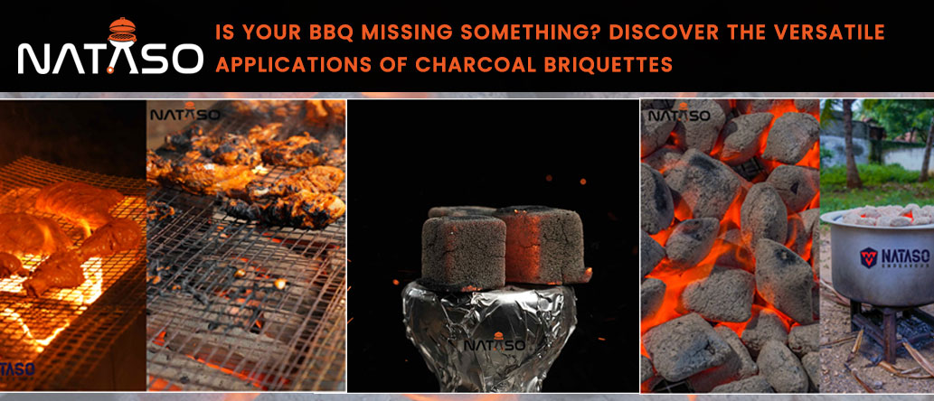 The Wonders of Pure Coconut Shell Charcoal Briquettes: A Sustainable Biofuel Alternative in Coimbatore