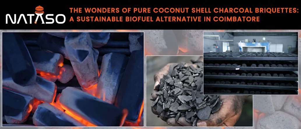 The Wonders of Pure Coconut Shell Charcoal Briquettes: A Sustainable Biofuel Alternative in Coimbatore