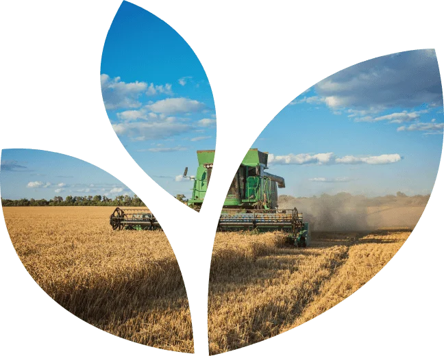 Benefits of Revathi Mills