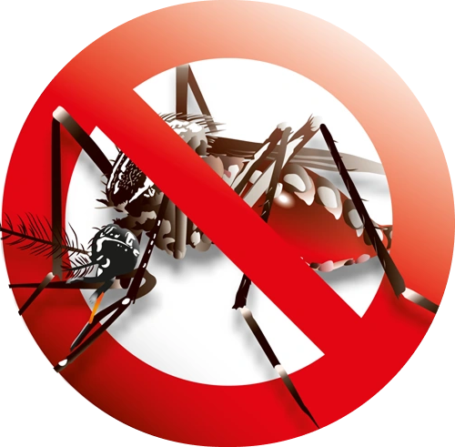 Pest Control Coimbatore  