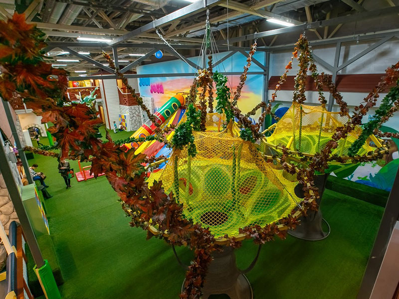 Sports Edutainment Suppliers