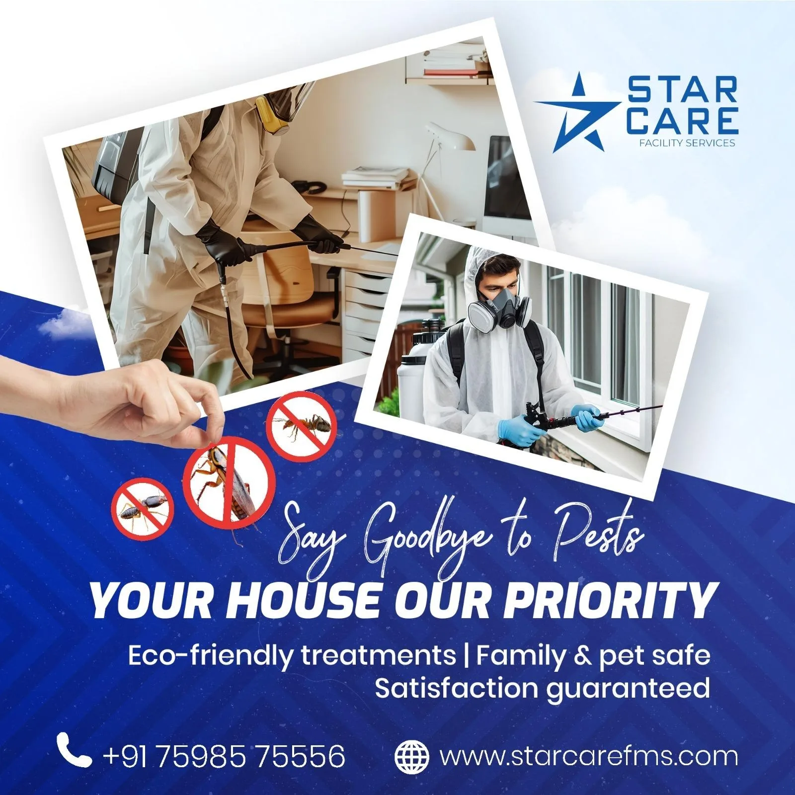 Best Pest Control Services in Coimbatore