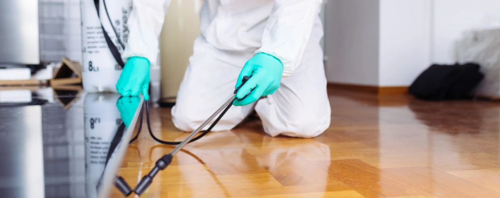 Mosquito Control Service in Coimbatore