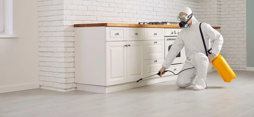 effective apartment pest control in Coimbatore