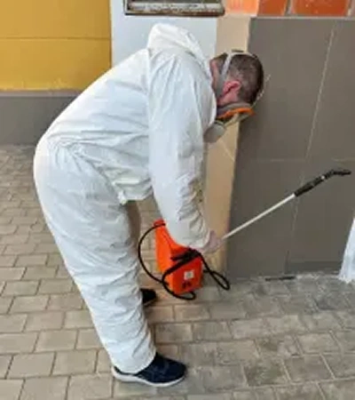 professional pest control providers