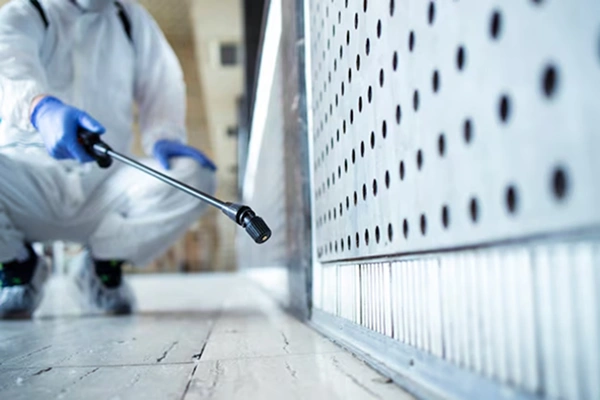Commercial Pest Treatment in Coimbatore