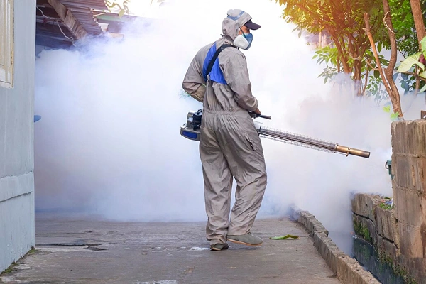 Mosquito Control Service in Coimbatore