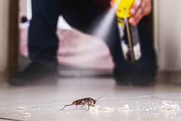 Top Cockroach Control Services in Coimbatore